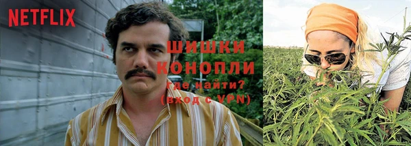 гашик Абинск