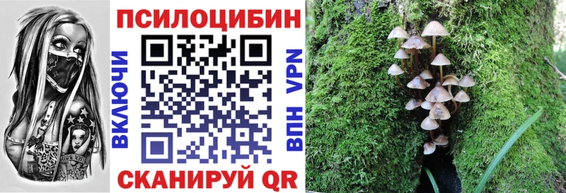 Псилоцибиновые грибы Cubensis  Ядрин 